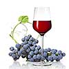 Glass of red wine and grape isolated on white