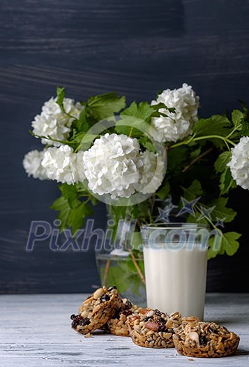 Glass of milk and cookies made of nuts and raisins. Kozinaki.