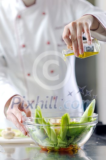 beautiful young chef woman prepare and decorating tasty food in kitchen beautiful young chef woman prepare and decorating tasty food in kitchen