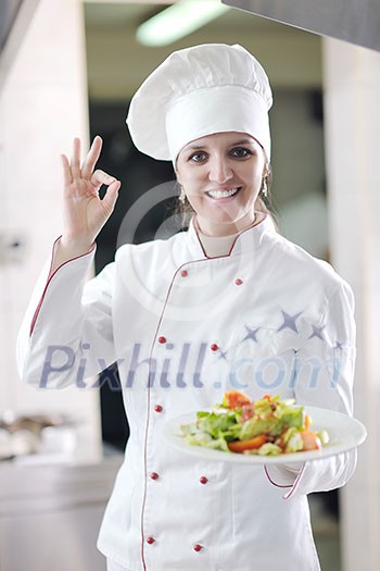 beautiful young chef woman prepare and decorating tasty food in kitchen beautiful young chef woman prepare and decorating tasty food in kitchen