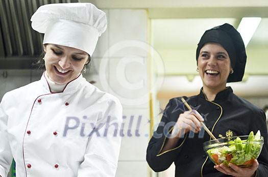 beautiful young chef woman prepare and decorating tasty food in kitchen