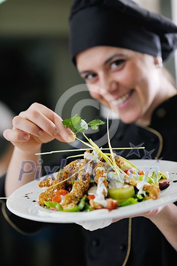 beautiful young chef woman prepare and decorating tasty food in kitchen beautiful young chef woman prepare and decorating tasty food in kitchen
