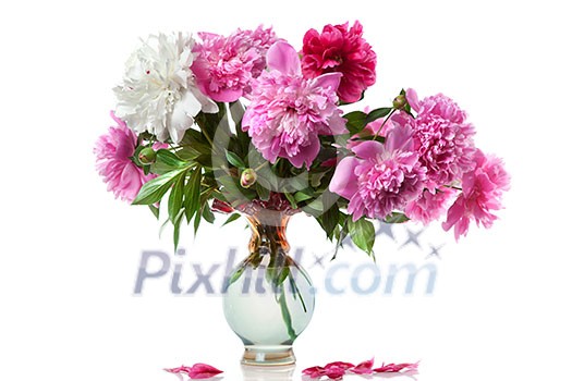 boquet of peony in the vase isolated on white