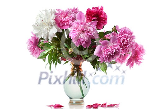 boquet of peony in the vase isolated on white boquet of peony in the vase isolated on white
