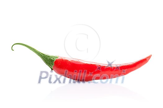 chili pepper isolated on white 