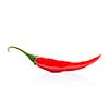 chili pepper isolated on white 