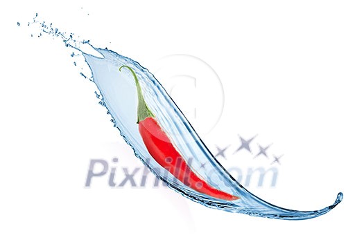 chili pepper with water splash isolated on white