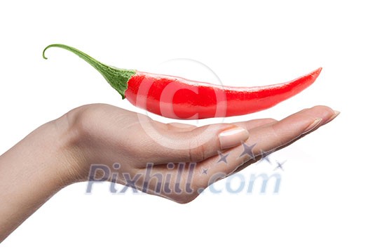 chili pepper and human hand isolated on white