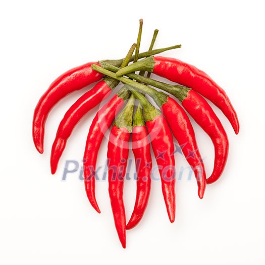 chili pepper isolated on white