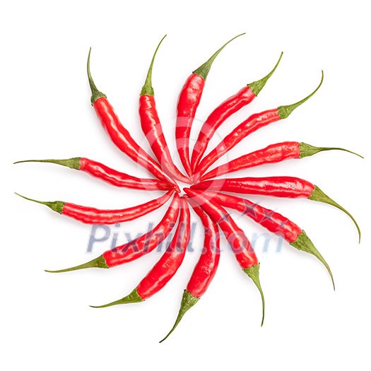 sun from chili peppers isolated on white sun from chili peppers isolated on white