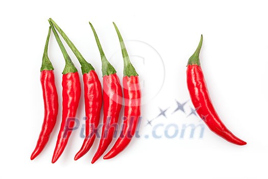 chili pepper isolated on white 