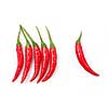 chili pepper isolated on white 