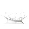 Milk splash isolated on white