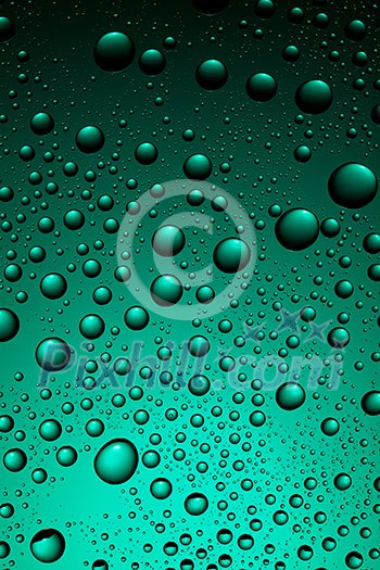 water drops on green water drops on green
