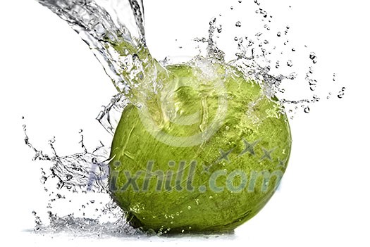 fresh water splash on coconut isolated on white fresh water splash on coconut isolated on white