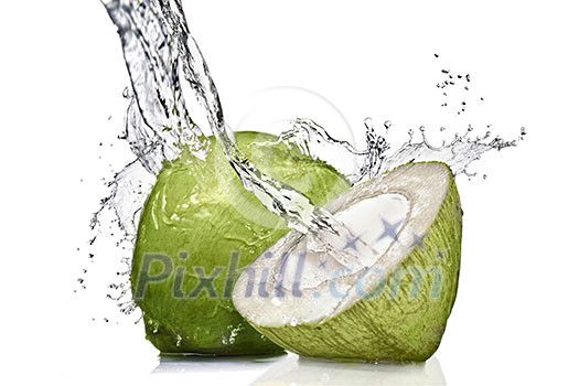 splash of water on green coconut isolated on white splash of water on green coconut isolated on white