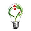 Natural energy concept. Light bulb with tulips with shape of heart isolated on white
