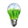 Natural energy concept. Light bulb with summer meadow inside isolated on white