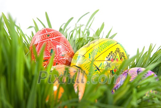 color easter eggs in nest from green grass on white color easter eggs in nest from green grass on white