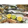 fresh frozen fish with oysters, lobster and lemons in ice