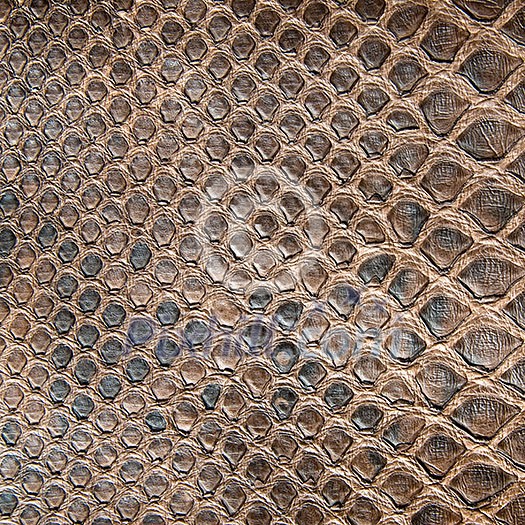 brown crocodile texture brown crocodile texture