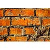 Grunge old bricks wall texture
