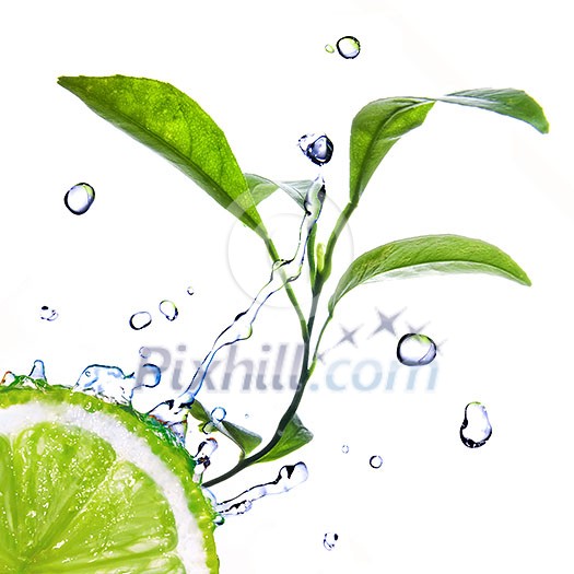 water drops on lime with green leaves isolated on white