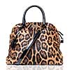 luxury leopard female bag isolated on white