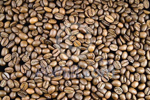 background from coffee beans background from coffee beans