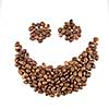 smile from coffee beans isolated on white