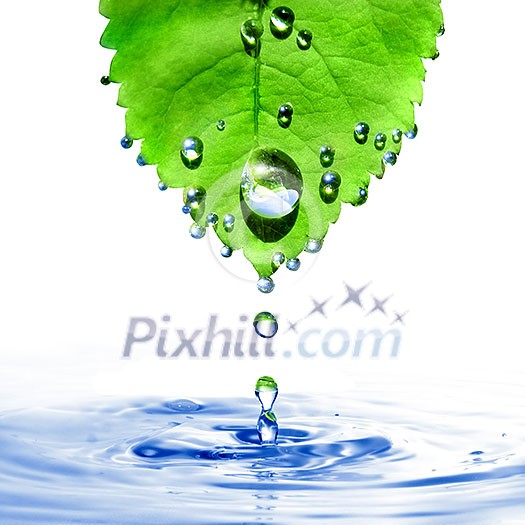 green leaf with water drops and splash isolated on white