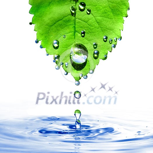 green leaf with water drops and splash isolated on white green leaf with water drops and splash isolated on white