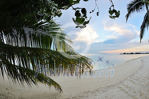 tropical water home villas resort on Maldives island at summer vacation tropical water home villas resort on Maldives island at summer vacation
