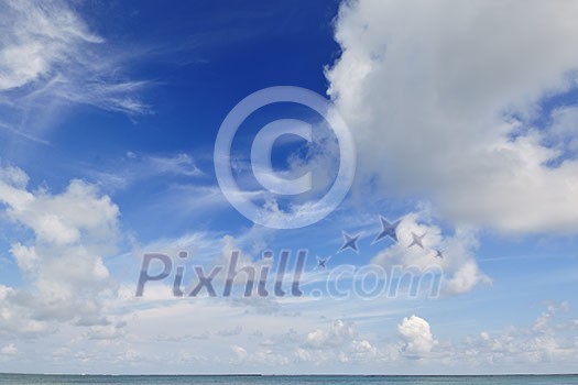 tropical beach nature landscape with white sand at summer