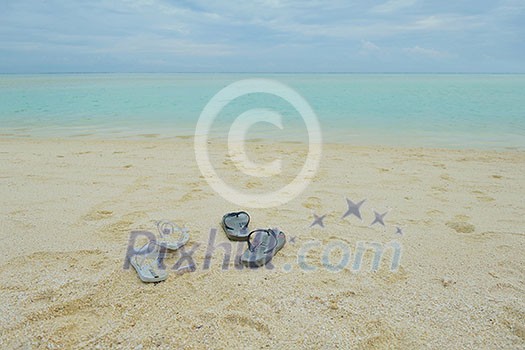 tropical beach nature landscape scene with white sand at summer tropical beach nature landscape scene with white sand at summer