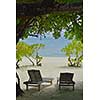 Two chairs beds in forest  on tropical beach with blue ocean in background