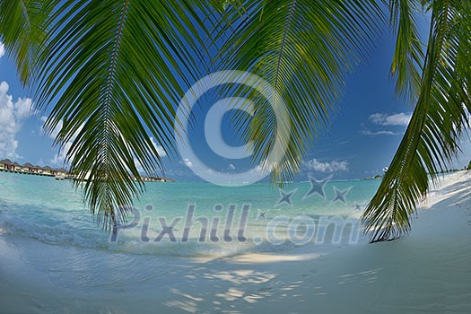 beautiful tropical beach background landscape nature sunset