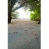 tropical beach nature landscape scene with white sand at summer