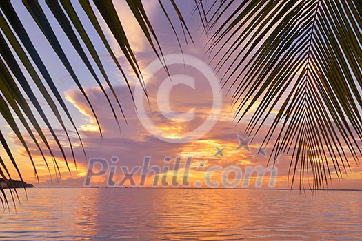 beautiful tropical beach background landscape nature sunset