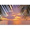 beautiful tropical beach background landscape nature sunset