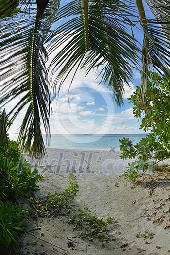 tropical beach nature landscape scene with white sand at summer tropical beach nature landscape scene with white sand at summer