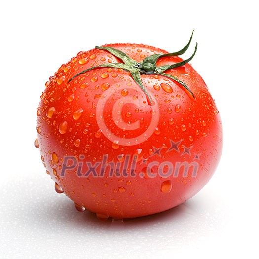 red tomato with water drops isolated on white