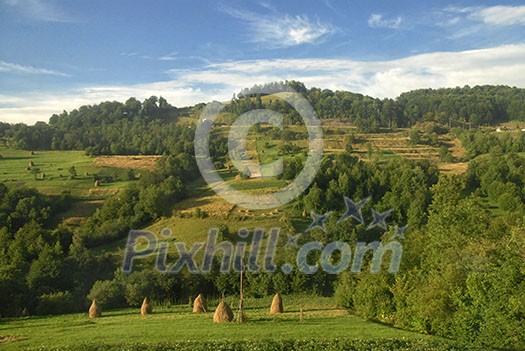 Summer mountains landscape in Carpathians, Ukraine