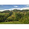 Summer mountains landscape in Carpathians, Ukraine