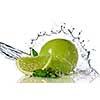 Water splash on lime with mint isolated on white