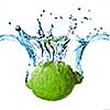 Fresh lime dropped into water with splash isolated on white