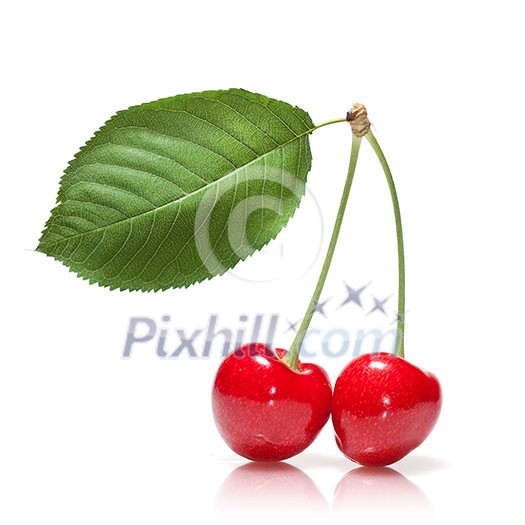 red cherry with leaf isolated on white