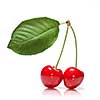 red cherry with leaf isolated on white