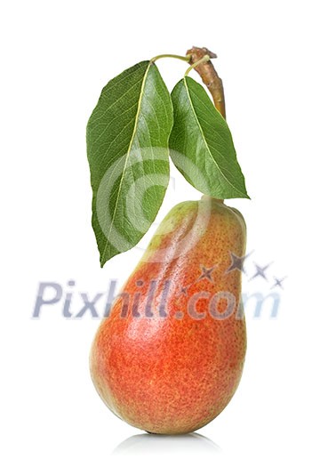 red pear with leaves isolated on white