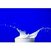 Milk splash isolated on blue